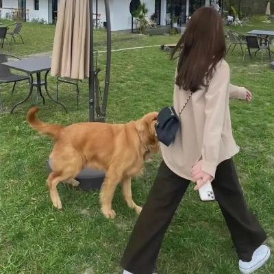 别来无恙